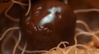 chocolate cyst explanation revealed