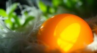 laying eggs revealed shocking questions