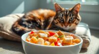 wet food for senior cats