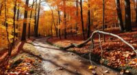 beware seasonal outdoor hazards