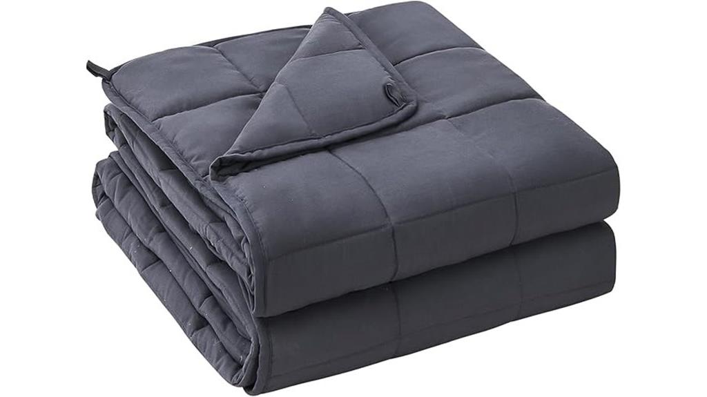 adult grey 20lb blanket