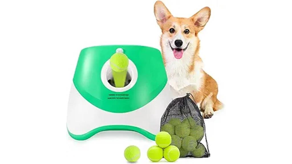 automatic dog ball launcher