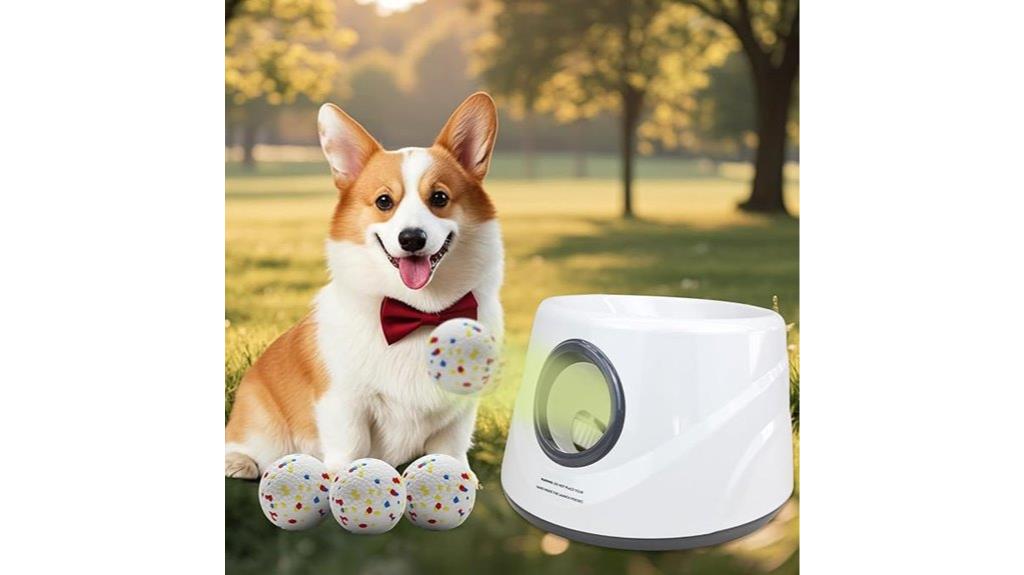 automatic dog ball launcher