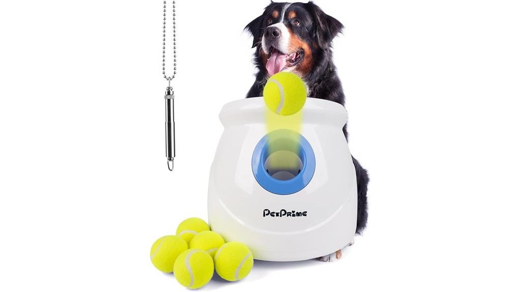 automatic dog ball launcher