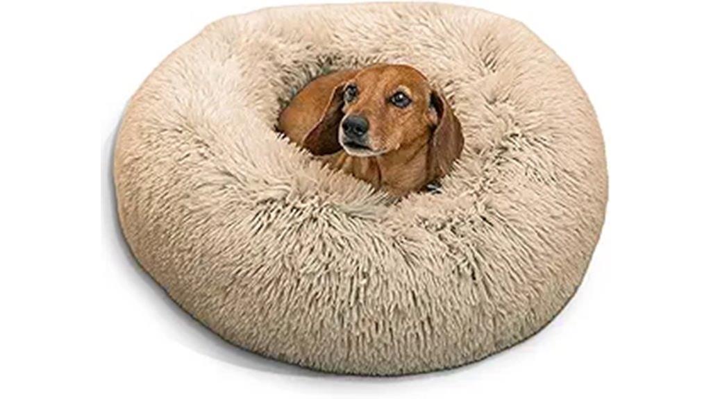 comfortable donut shaped pet bed