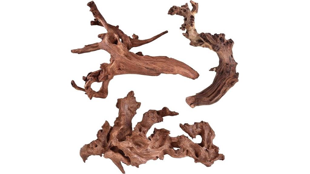 coral driftwood aquarium set