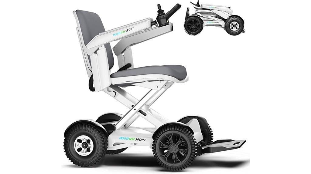 dual function electric mobility