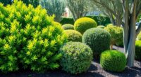 easy care landscaping choices