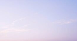 gentle blue and purple