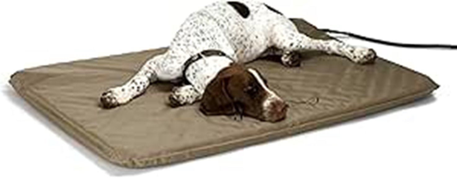 heated large pet bed