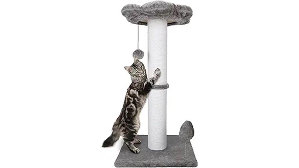 heavy duty cat scratcher