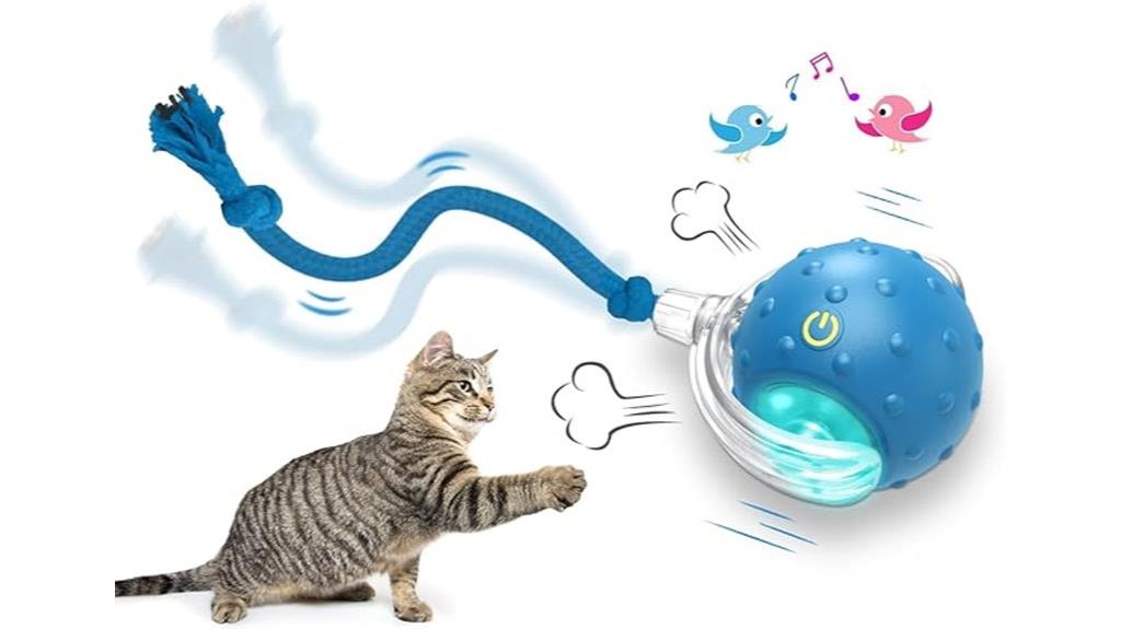 indoor interactive cat toy