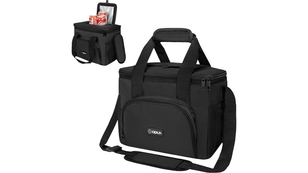 insulated collapsible lunch bag