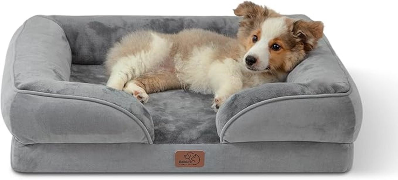 medium orthopedic dog bed
