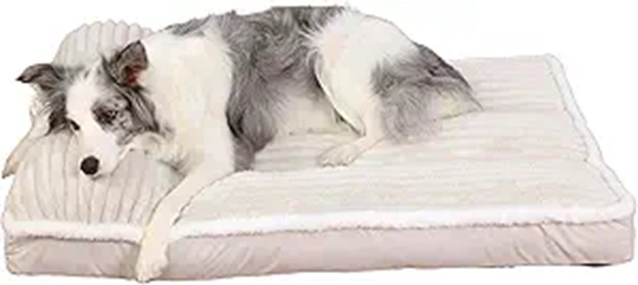 memory foam orthopedic bed