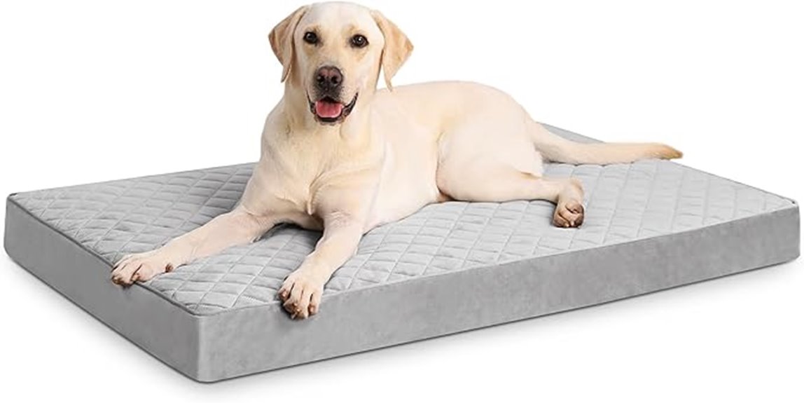 orthopedic removable cover bed