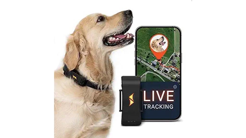 real time gps dog tracker