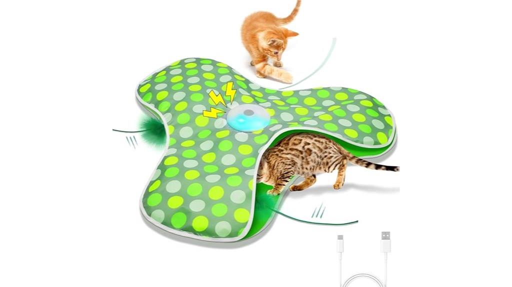 rechargeable interactive cat toy