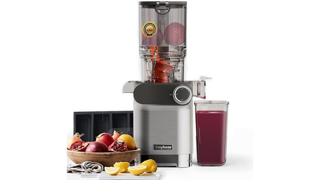 silver cold press juicer