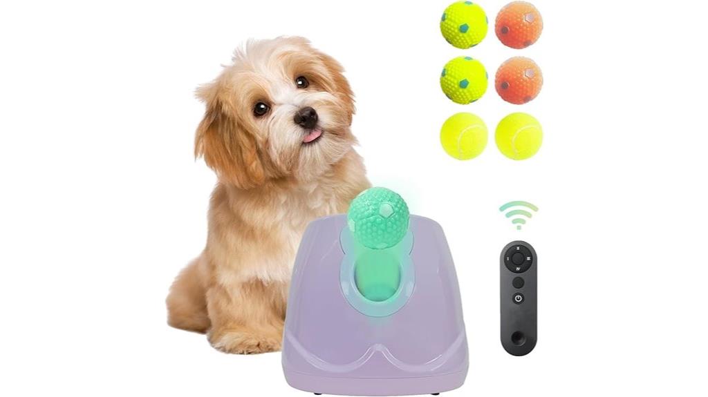 small to medium dog toy