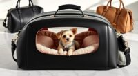 stylish comfortable pet carriers