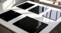 top 15 induction cooktops