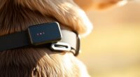 top gps dog collars