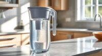 top mineralizing water filter pitchers