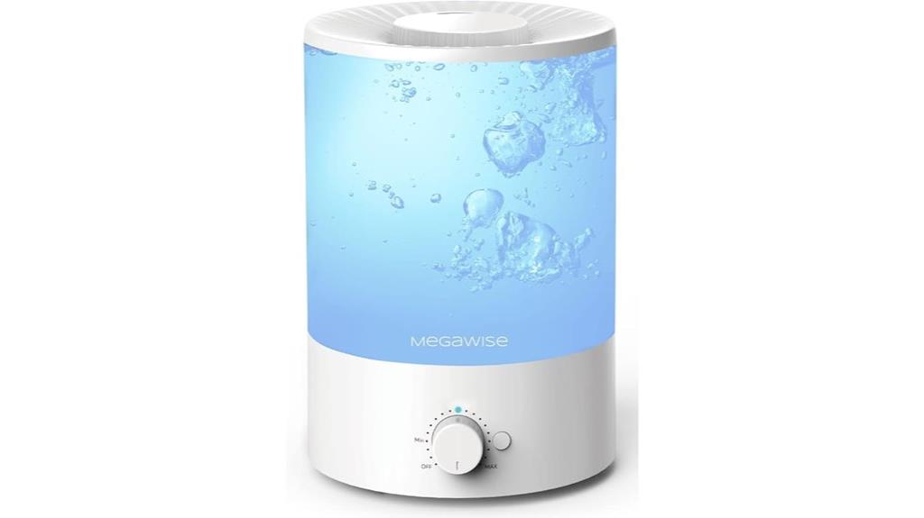 ultrasonic humidifier with filter