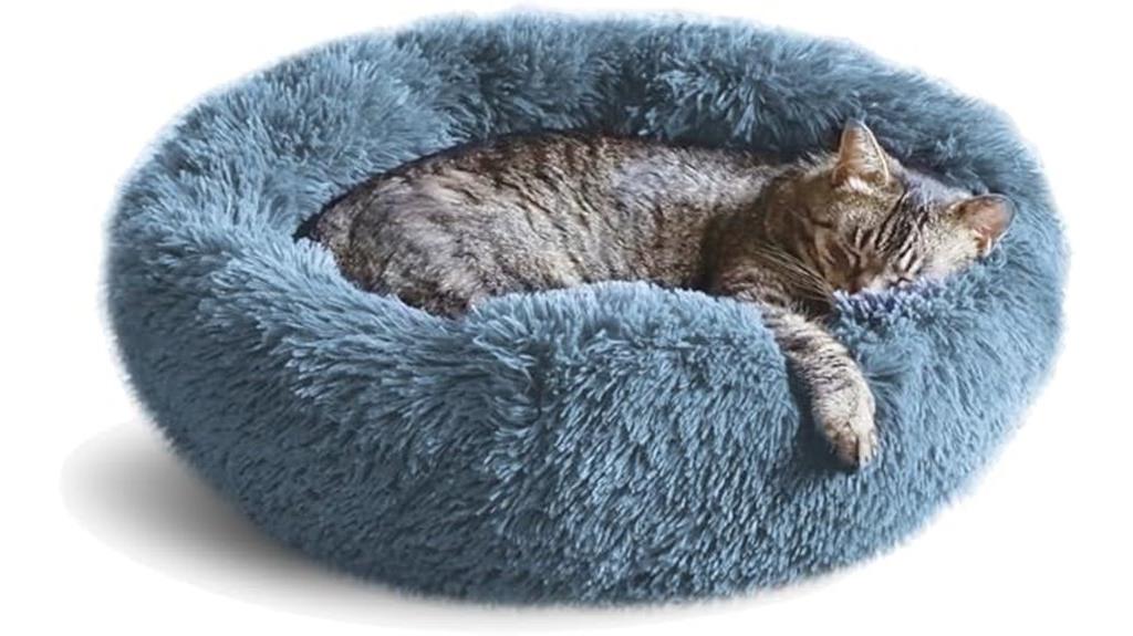 versatile cat and dog bed