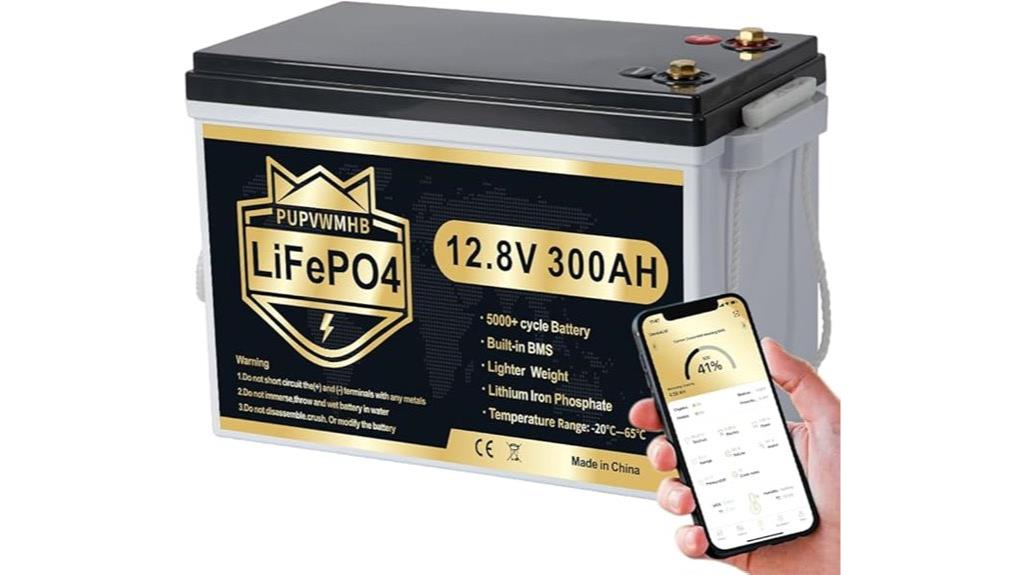 12 8v 300ah lithium battery