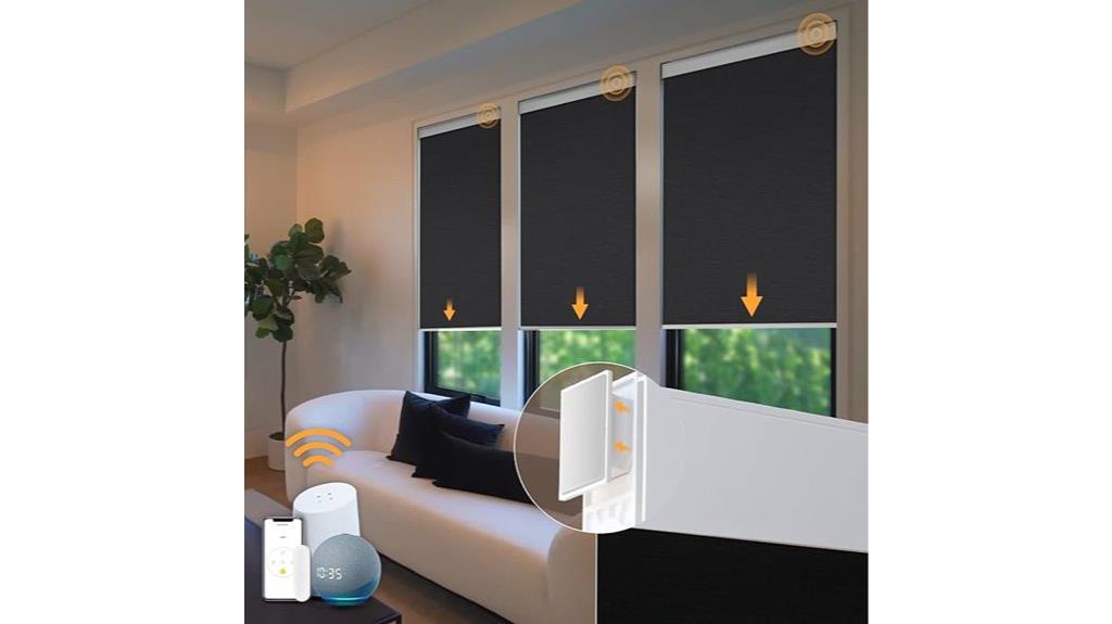 black motorized blinds
