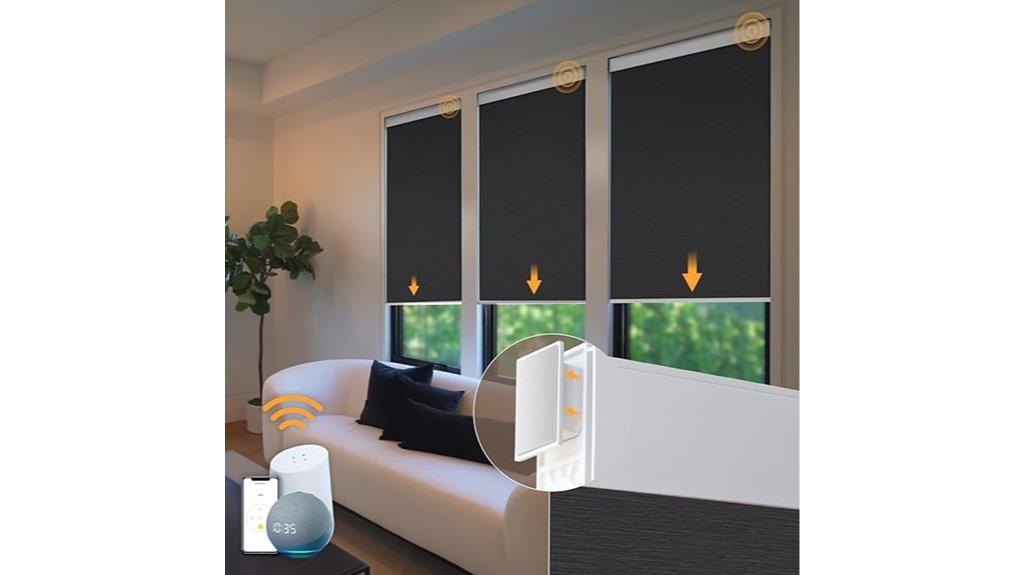black remote blackout blinds