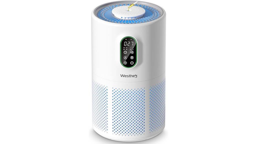 large room hepa purifier