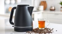 top electric kettles with temperature