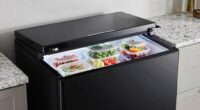 top 13 large freezers