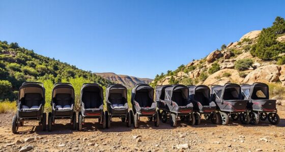 top 15 all terrain stroller wagons