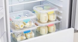 top freezer breast milk organizers