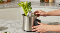 4 Best Premium Juicer for Celery and Greens in 2026