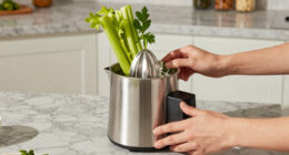4 Best Premium Juicer for Celery and Greens in 2026