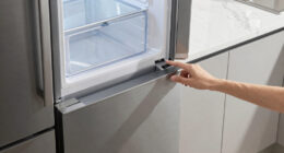 4 Best Refrigerators With Dual Evaporator in 2026