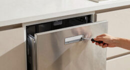 5 Best Panel Ready Dishwasher in 2026