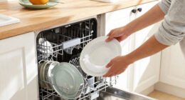 9 Best Dishwasher With Zeolite Drying in 2026