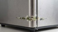 appliance mold indicators