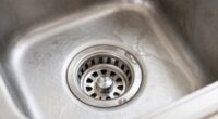 garbage disposal cleaning routine