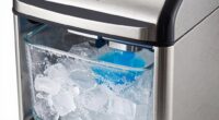 ice maker cleaning step
