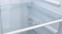 shelf cracking prevention tips