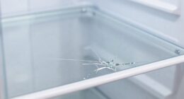 shelf cracking prevention tips