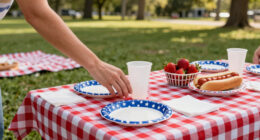 14 Best Patriotic Family Picnic Supplies in 2026