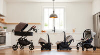UPPAbaby Cruz V2 vs Nuna PIPA: Full Comparison